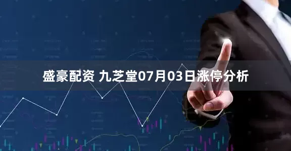 盛豪配资 九芝堂07月03日涨停分析